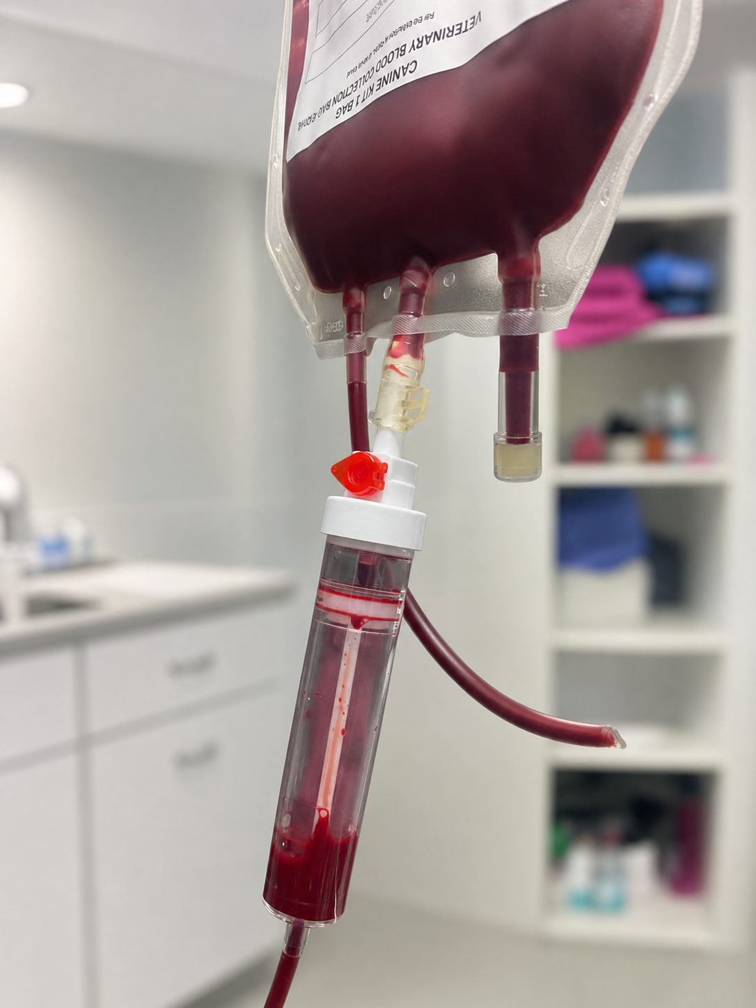 IAS Transfusion Set